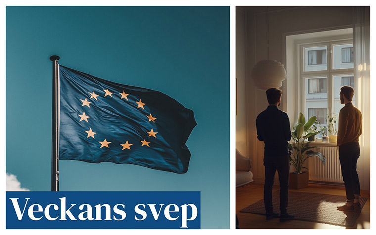 Veckans svep